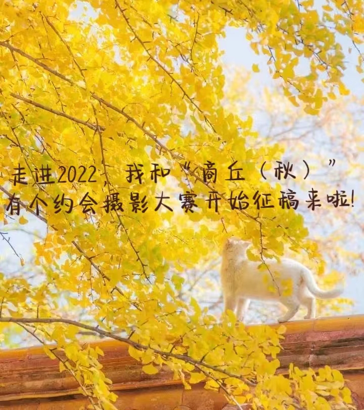 走进2022，我和